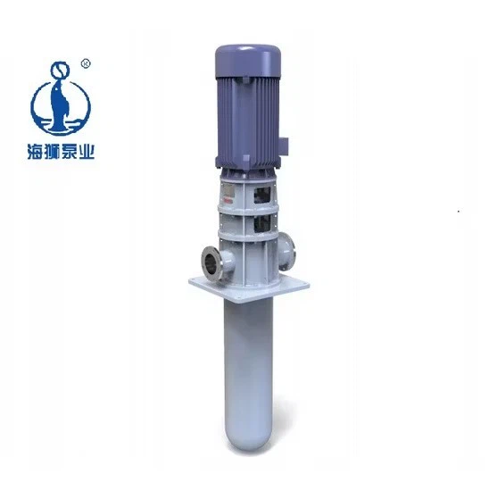 Condensate Vertical Haishi Mud Vs1 Submersible Molten Salt Pump With High Quality suppliers